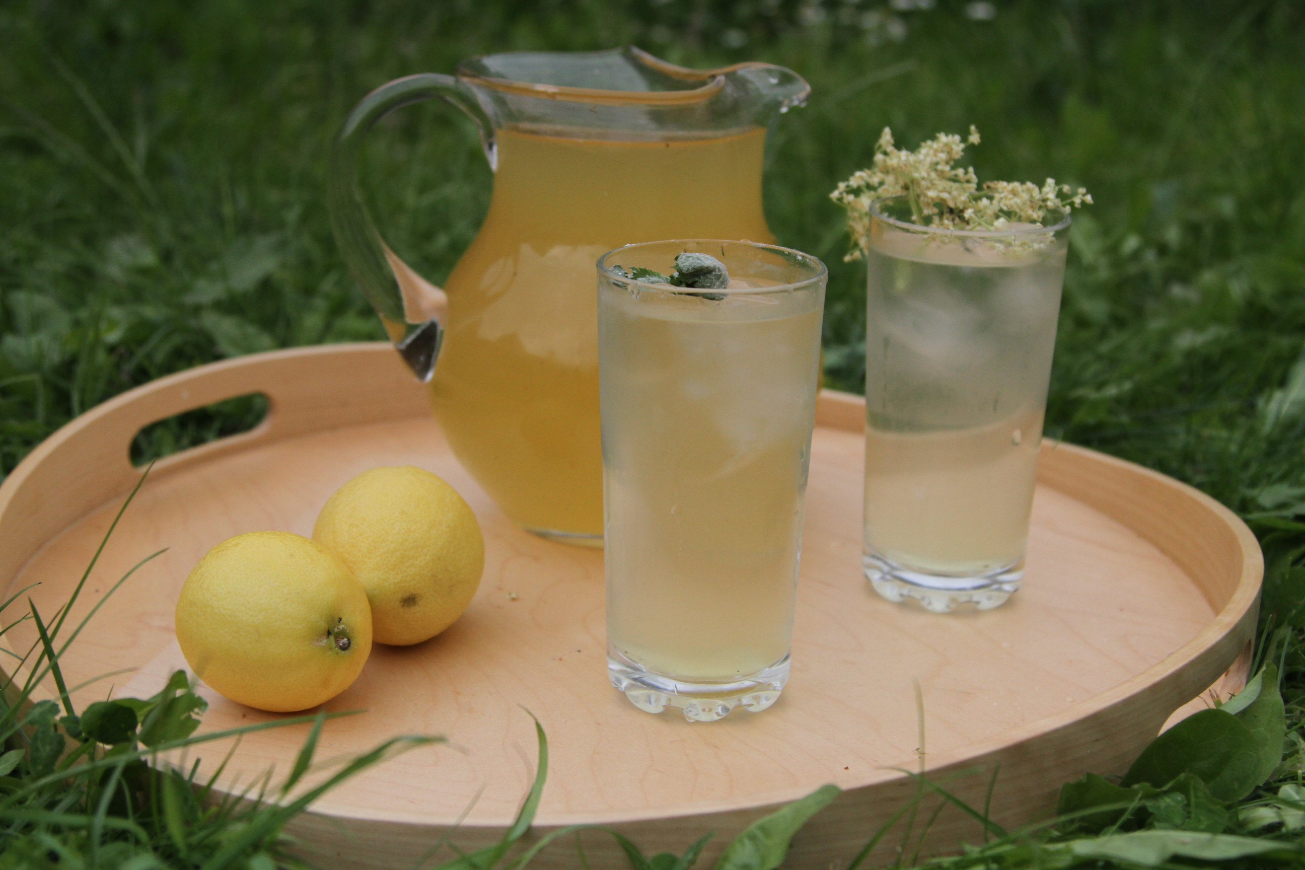 napój z czarnego bzu