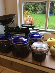 Chutney with apples