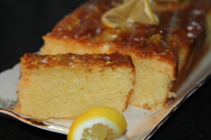 puszysta babka